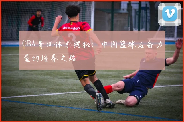 CBA青训体系揭秘：中国篮球后备力量的培养之路