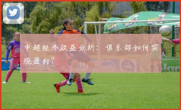 中超经济效益分析:俱乐部如何实现盈利?