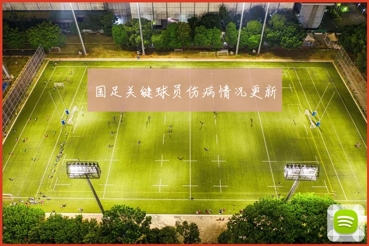 国足关键球员伤病情况更新