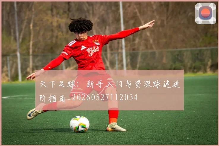 天下足球:新手入门与资深球迷进阶指南_20260527112034