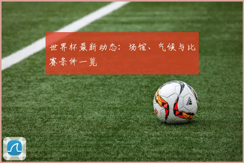 世界杯最新动态：场馆、气候与比赛条件一览