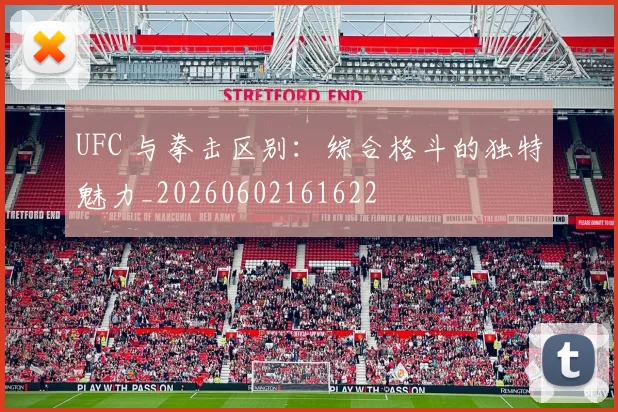 UFC 与拳击区别:综合格斗的独特魅力_20260602161622