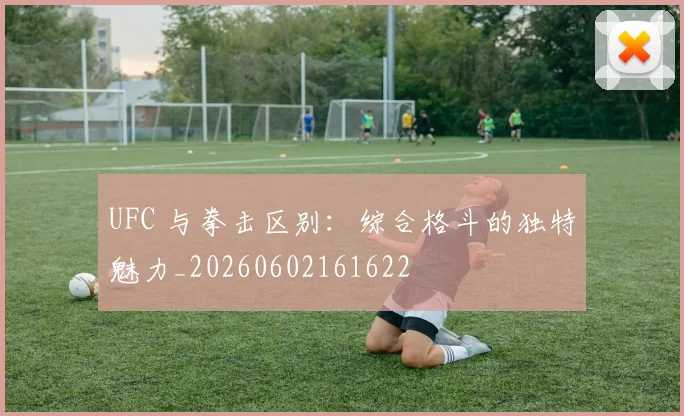 UFC 与拳击区别:综合格斗的独特魅力_20260602161622