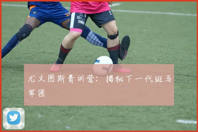 尤文图斯青训营:揭秘下一代斑马军团