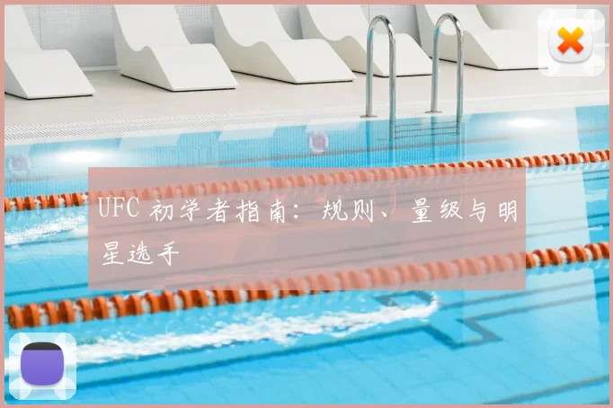 UFC 初学者指南:规则、量级与明星选手